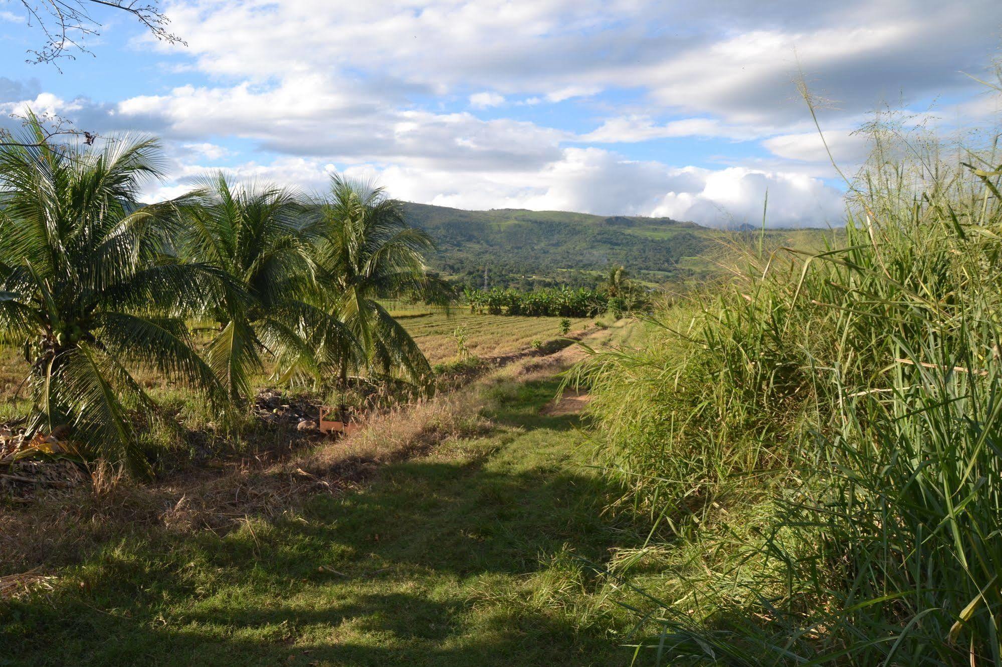 Hotel Suyox Tarapoto Eksteriør bilde